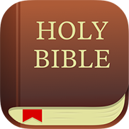 Read the Bible Every Day on the Daily Reading Plan