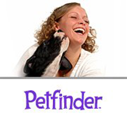 Register at Petfinder to Search for a Pet